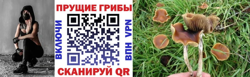 Галлюциногенные грибы ЛСД  Кондопога 